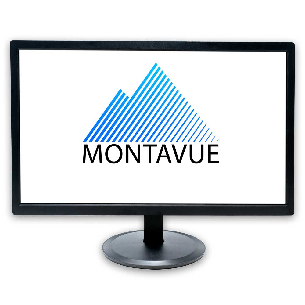 22" Industrial High Definition Monitor - Montavue